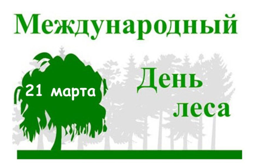 Международный день Леса — 2022